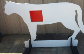 Mtn Lion w/ Vital Cut out