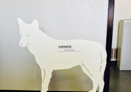 Solid Coyote